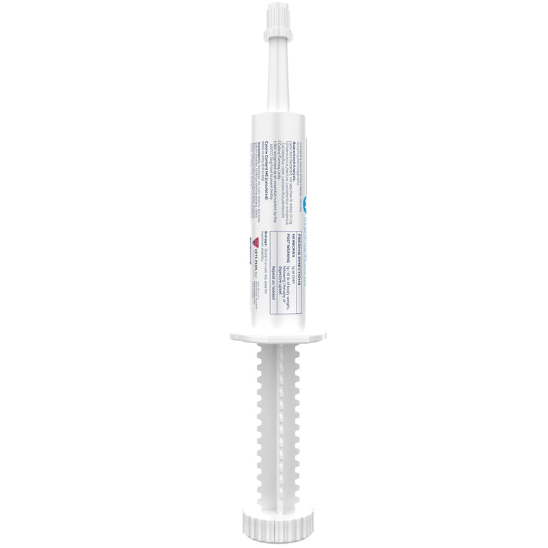 Probios Probiocin Oral Probiotic Gel for Dogs and Cats, Digestive and Immune Support Supplement, Easy Syringe Administration, Suitable for Newborns to Senior Pets, 15g Tube (Pack of 2) 15 g (Pack of 2)