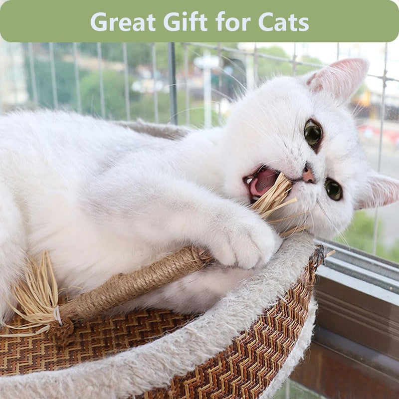 5 PCS Silvervine Sticks for Cats - Natural Cat Chew Toys for Teeth Cleaning, Kitten Teething & Aggressive Chewers 5 Pack