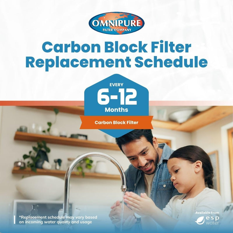 Omnipure E5520-SB Carbon Block Water Filter 1 Micron 10 x 2.5 Twist and Lock Cartridge Reduces Chlorine Improves Taste and Odor Quick Change Replacement