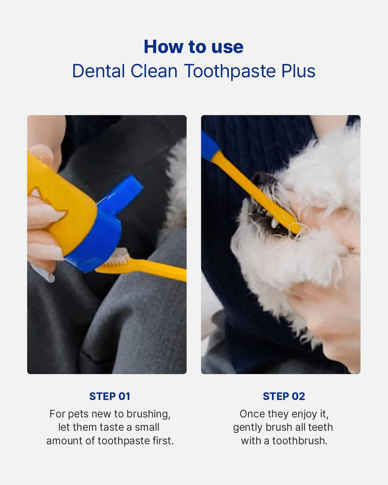 PETHROOM Dog & Cat Dental Kit for Daily Care – Enzymatic Toothpaste & Soft Bristle Toothbrush (Medium), Plaque & Tartar Control, EWG Verified, Fresh Breath, Pet Friendly Flavor, 2.1 oz