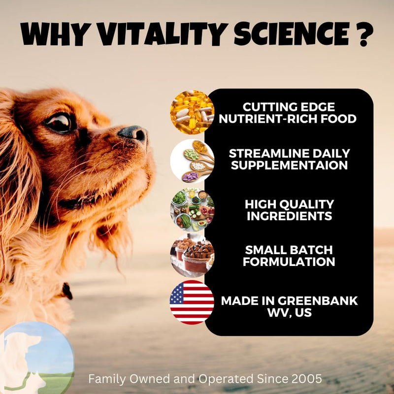 Vitality Science Blessed Relief for Cats | Seasonal Allergy Support | Improves Respiratory Function and Breathing | Heals Skin Helps Irritation (20g) 20g