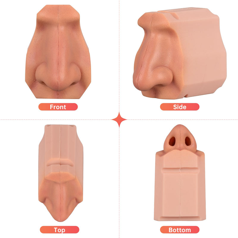 Ultrassist Human Nasal Cavity Anatomy Model - Anatomical Medical Model for Nasal Examination Practise, Human Nasal Model for Medical Teaching, Scientific Research and Display