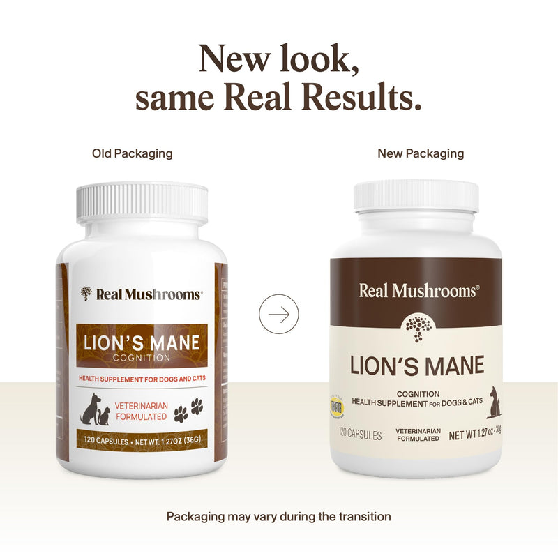 Real Mushrooms Lion’s Mane Pet Mushroom Supplement – Pet Wellbeing Capsules – for Cat & Dog Supplement & Vitamins – Support Mindful Routines – Organic, Vegan, Non-GMO, 120 Count Capsule