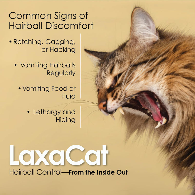 Hairball Gel for Cats 5 oz Petroleum Free Cat Hairball Paste for Furball Control, Constipation Relief and Digestive Support, Easy Lick Salmon Flavor Hairball Treatment for Daily Use, Made in USA