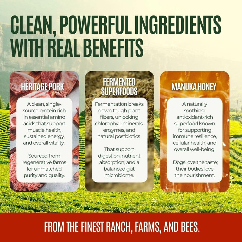 Gussy's Gut Fermented Superfood Reset & Reward Bundle (3oz Trial Boost)