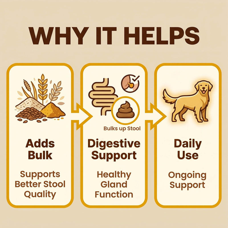 Anal Gland Supplement for Dogs, 800M CFU Probiotics & Fiber Soft Chews with Pumpkin Seed, Psyllium Husk & Inulin for Stool Consistency, Daily Digestive Health Support, Chicken Flavor, 90 Ct