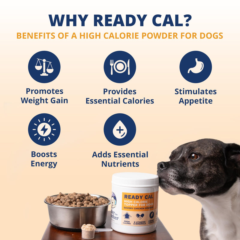 Under the Weather Ready Cal Powder for Dogs, High-Calorie Weight Gainer & Appetite Stimulant, Dog Energy Booster Veterinarian-Approved Pet Supplement with Vitamins & Minerals, Chicken Flavor |10.58 oz For Dogs - Ready Cal Powder