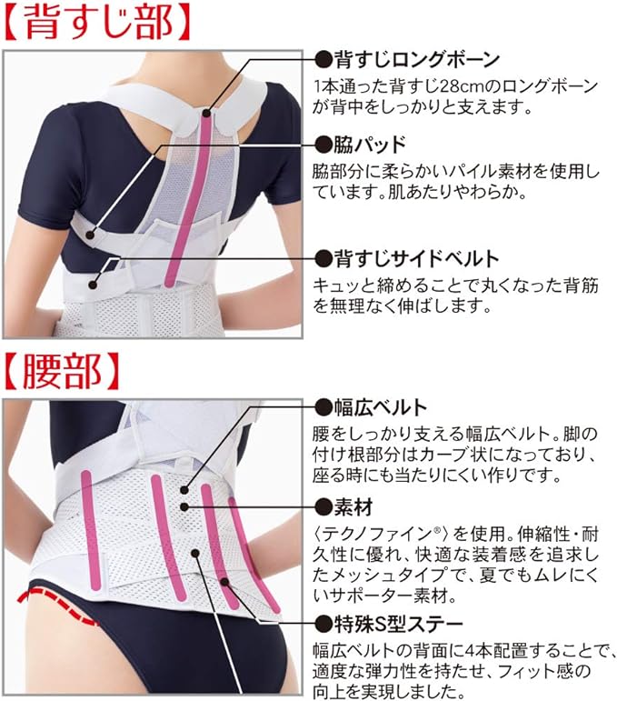 Alphax Posture Supporter, Made in Japan, Posture Belt Corrects From Doctor's Waist, L-LL - NewNest Australia