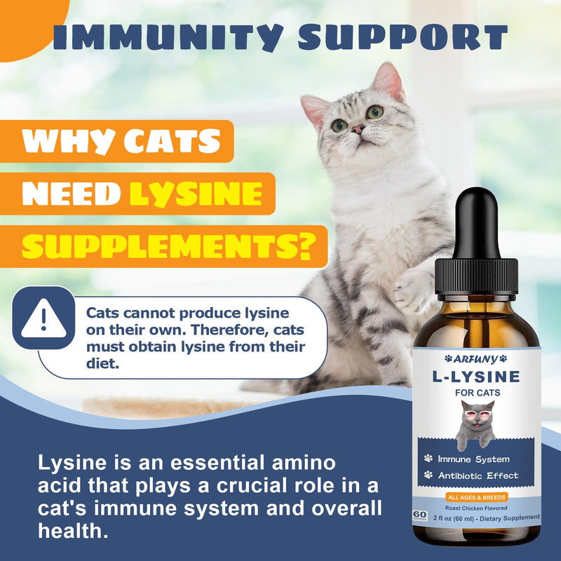 Lysine for Cats - 2 Packs Cat Lysine Drops - Sneezing Treatment, Nasal Relief - Feline Upper Respiratory Infection, Runny Nose, Eye Function - Immune Support - Roast Chicken Flavor