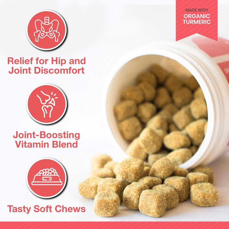 Arthritis Dog Joint Chews| Glucosamine, Chondroitin, Omega-3| MSM Support for Healthy Joints| 120ct Veterinarian Formulated Soft Chews| Up to 4-Month Supply - PawsPlanet Australia