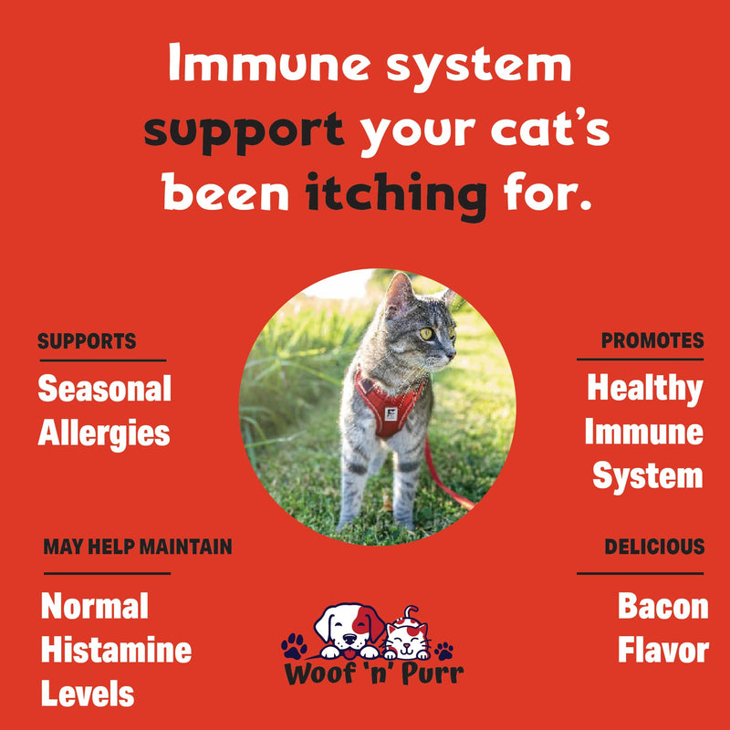 Natural Cat Antibiotic - Antibiotics for Cats - Pet Antibiotics - Cat Antibiotics - Cat Allergy Relief for Cats - Antibiotic for Cats - Cat UTI Antibiotics - 1 fl oz: Roast Chicken Flavor - PawsPlanet Australia