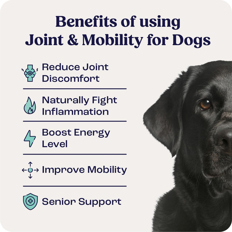 Summit Canine Joint and Mobility Supplement for Large Dogs (Previously Lift), All Natural Liquid Chondroitin with Liposomal Delivery for Arthritis, Hip & Joint Support Vitamin, (Dogs 75+lbs) Large Dogs Over 75lbs - PawsPlanet Australia