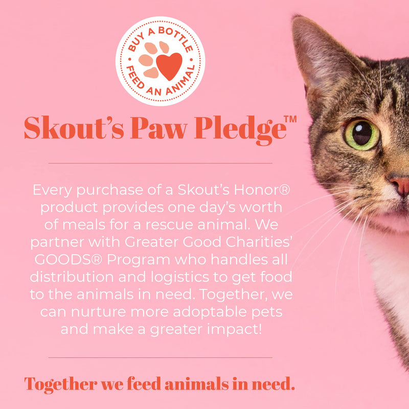 SKOUT'S HONOR Probiotic Cat Shampoo & Conditioner with Avocado Oil & Omega-3s, 97% Natural, Paraben & Sulfate-Free, Cruelty-Free, 16oz, Fragrance Free Shampoo & Conditioner- Frangrance Free - PawsPlanet Australia