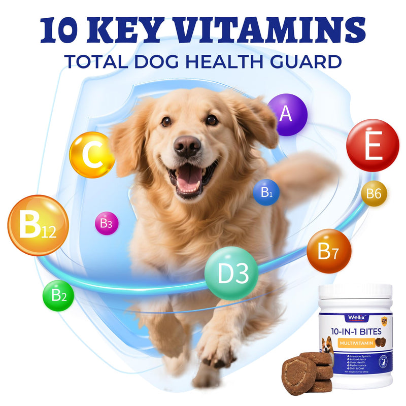 260 Bites Wellix 10-in-1 Dog Vitamins - Multivitamin for Dogs Immune Supports,Boost Hip&Joint,Skin&Coat,Liver&Gut Health -Dog Antioxidant Supplements 10-in-1 Multivitamin 260g