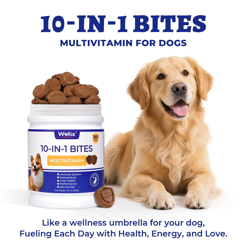 260 Bites Wellix 10-in-1 Dog Vitamins - Multivitamin for Dogs Immune Supports,Boost Hip&Joint,Skin&Coat,Liver&Gut Health -Dog Antioxidant Supplements 10-in-1 Multivitamin 260g