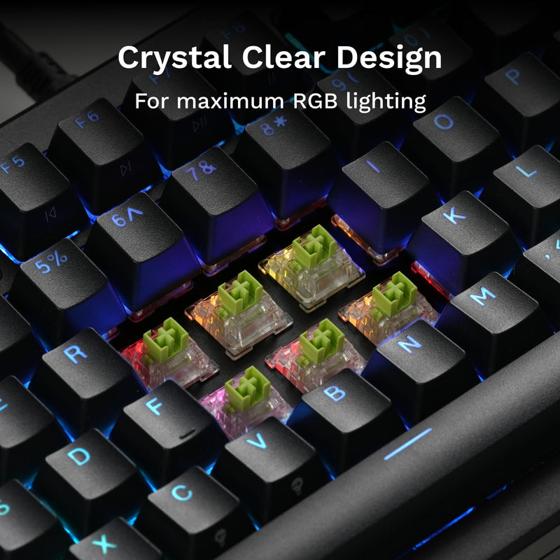 Glorious Raptor Clicky Hall-Effect Magnetic Switches (36-Pack), Transparent Housing, Pre-Lubed Click Bar, HE Hot-Swap Compatible, RGB-Optimized Raptor (Clicky) Standard
