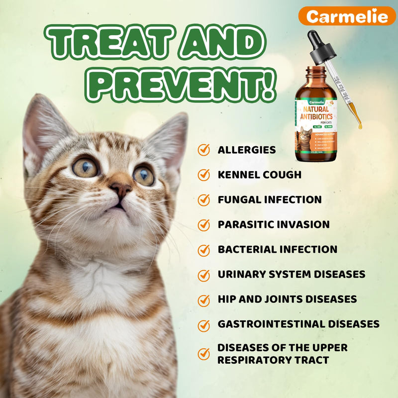 Natural Antibiotics+Flea and Tick Treats for Cats Bundle-200 Each-Cat Antibiotics with ProbioticsCat Antibiotics for Allergy Relief, Urinary Tract Support, Itch Relief, and Immune Support
