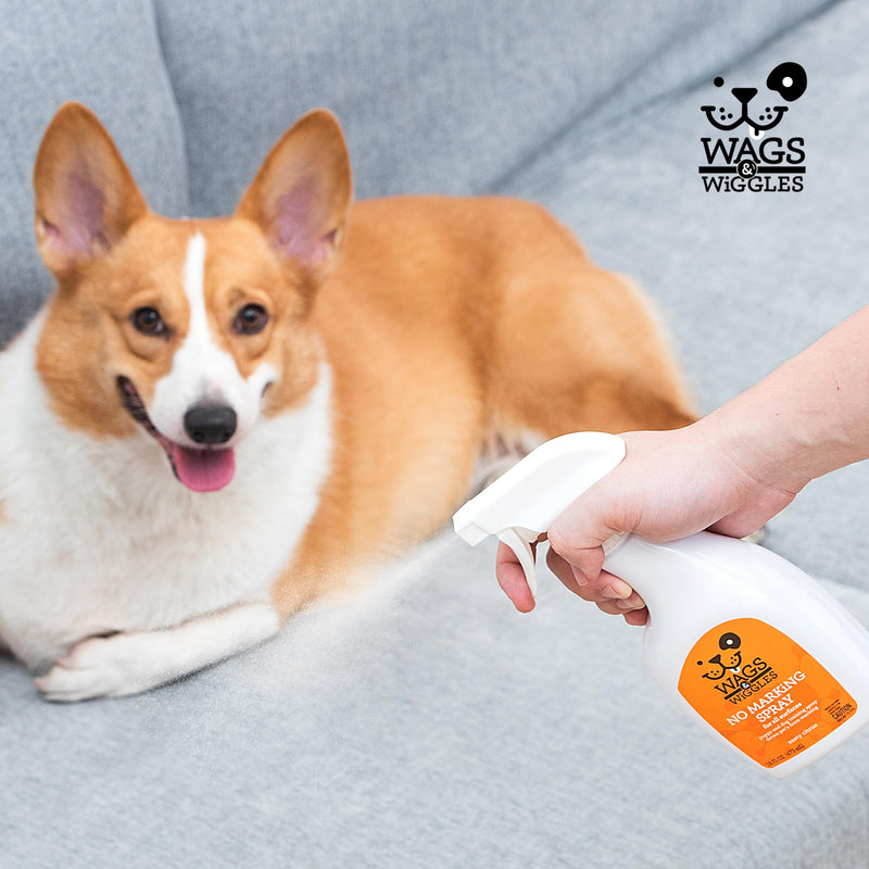 Wags and Wiggles No Marking Deterrent Training Spray for Dogs - Indoor Dog Pee Repellent, Anti-Marking Behavior Correction Spray for Puppies and Adult Dogs, 16 Fl Oz Citrus Zesty 16 Fl Oz (Pack of 1)
