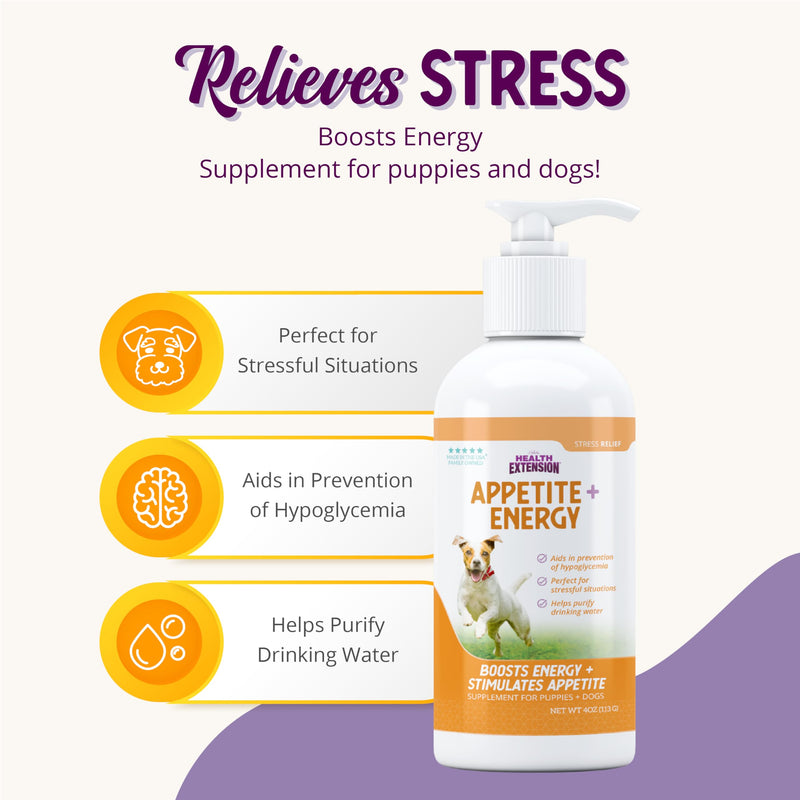 Health Extension Stress Relief Supplement for Dogs, 8oz - Appetite & Energy Boost, Prevents Hypoglycemia, Enriched with Vitamin B - PawsPlanet Australia