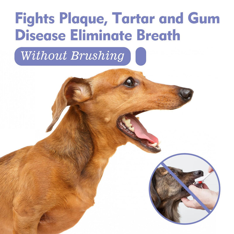 JoanofArc Pet Oral Spray, Teeth Cleaning Spray for Dogs and Cats, Pet Breath Freshener, Reduces Plaque Tartar Buildup, No Brushing, 30ml Each (2pcs)