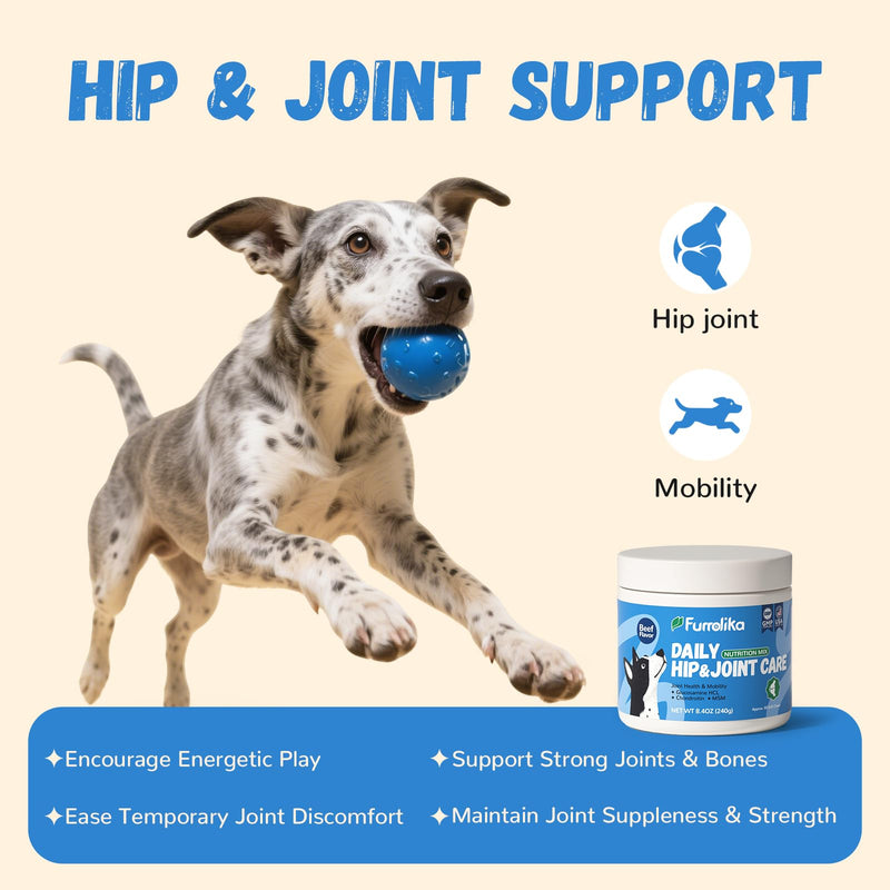Furrolika Made in USA Dog Supplement Bundle: Joint Support & Multivitamin Chews with Glucosamine, Chondroitin, and Probiotics for HIPS, Gut, Skin & Coat Health - Beef Flavor - 60 Chews Each