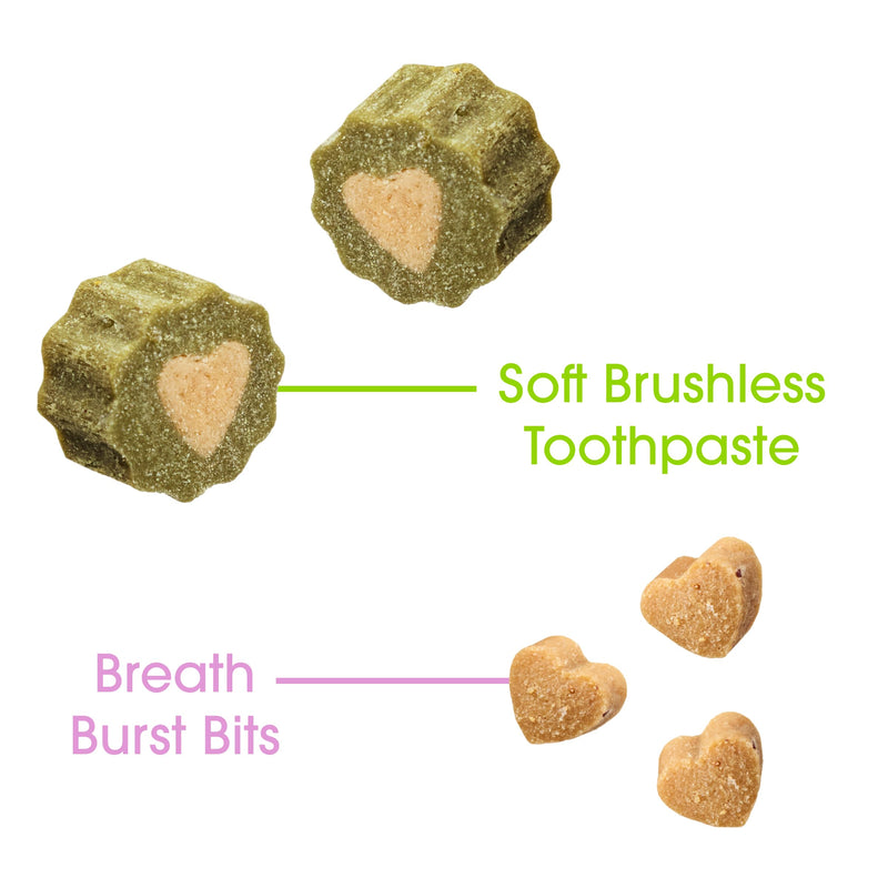 Ark Naturals Small Breed Soft Brushless Toothpaste + Breath Bursts Bundle - Vet Formulated Dog Dental Chews for Small Breeds - Helps Reduce Plaque & Tartar, Polishes Teeth, and Freshens Breath