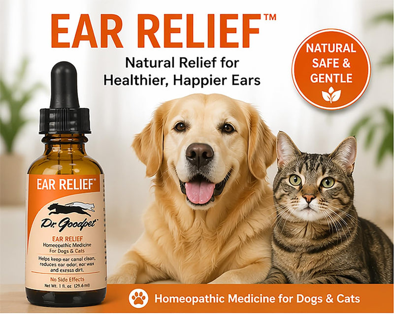 Dr. Goodpet Ear Health Formula for Dogs & Cats | All-Natural Ear Cleanser | Soothes Itches and Cleans Ear Canal | Drops for Irritation & Waxy Buildup | 1 fl oz Bottle w/Dropper