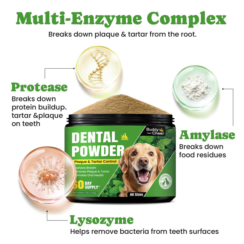 Digestive & Skin Support Chews + Dental Care Powder - Probiotics with Enzymes for Gut Comfort & Itch Ease, Tartar Control & Fresh Breath for Dogs & Cats - 180 Chews + 150g Powder