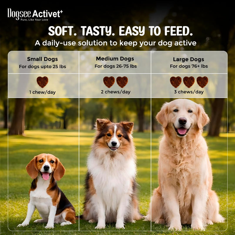 Dogsee Activet+ Dog 12 in 1 Multivitamin Supplement Chews, with Vitamins, Minerals, Probiotics, Omega 3 & Glucosamine for Overall Dog Health, Chicken Flavor – 90 Chews Multivitamin- Chicken