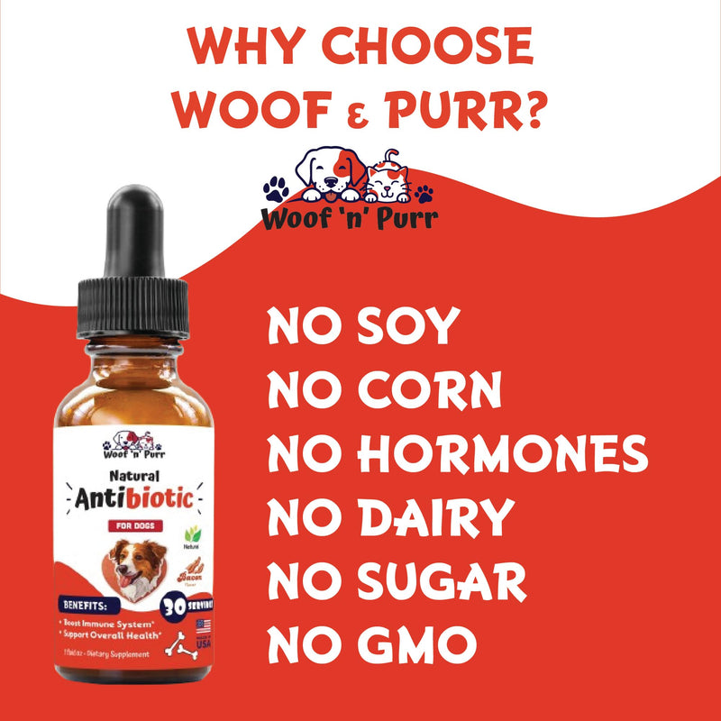 Natural Dog Antibiotics - Antibiotics for Dogs - Supports Immune Health, Itch Relief, Allergy Relief & More - Antibiotic for Dogs - Itch Relief for Dogs - Yeast Infection Treatment for Dogs - 1 oz - PawsPlanet Australia