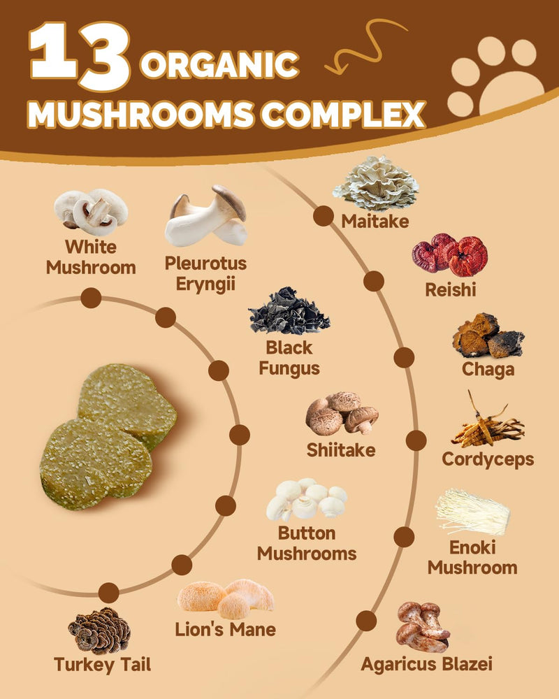 Turkey Tail for Dogs - 9 Organic Mushroom Supplement, Turkey Tail Mushroom for Dogs - Gut, Skin, Joint, Immune Health- Dog Lumps & Bumps