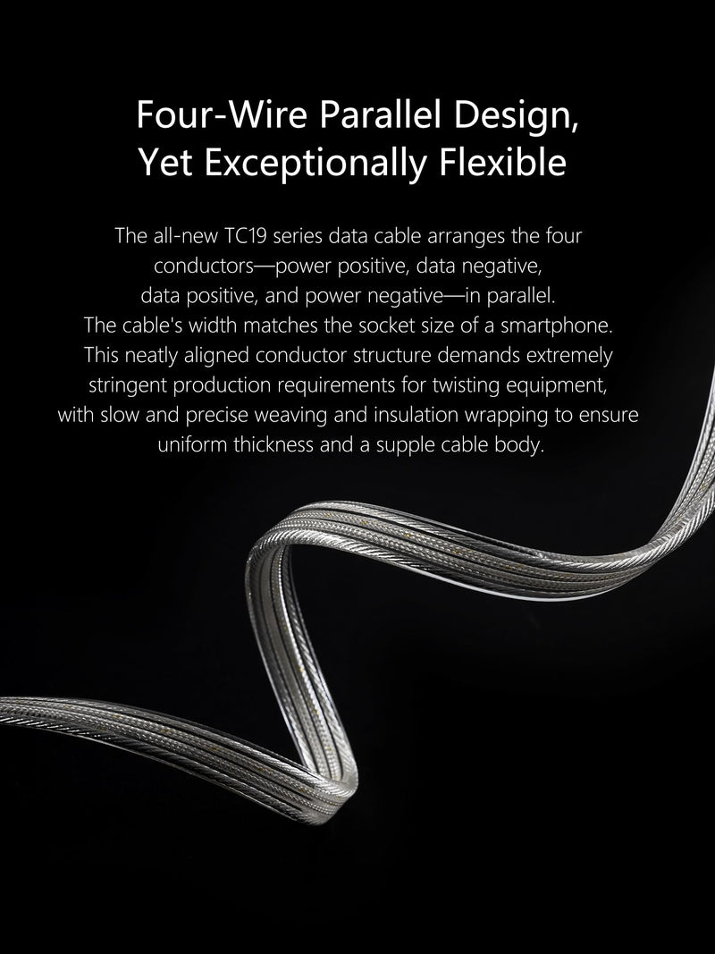DD ddHiFi TC19CC USB C Cable Digital Signal OTG Cable Pure Silver USB-C to USB-C DAC Cable, Four-Wire Parallel Design, 10cm 10 cm