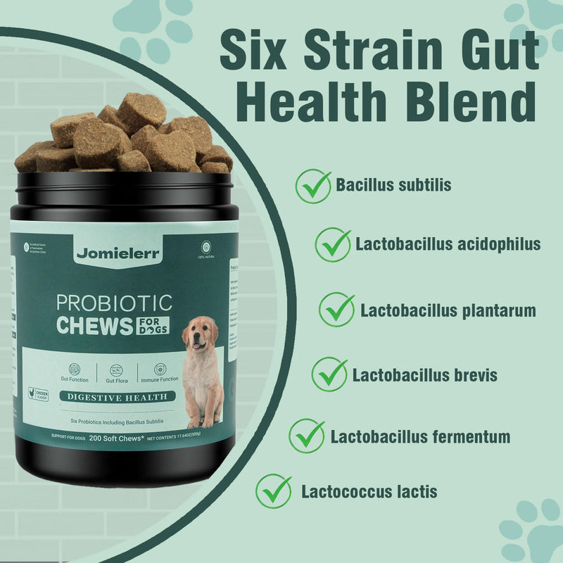 Probiotics for Dogs, 200 Soft Chews, Support Gut Health, Diarrhea Relief, Seasonal Allergies, Dog Probiotic Chews for Itchy Skin & Dog Yeast Infection, Chicken Flavor 200 Chews