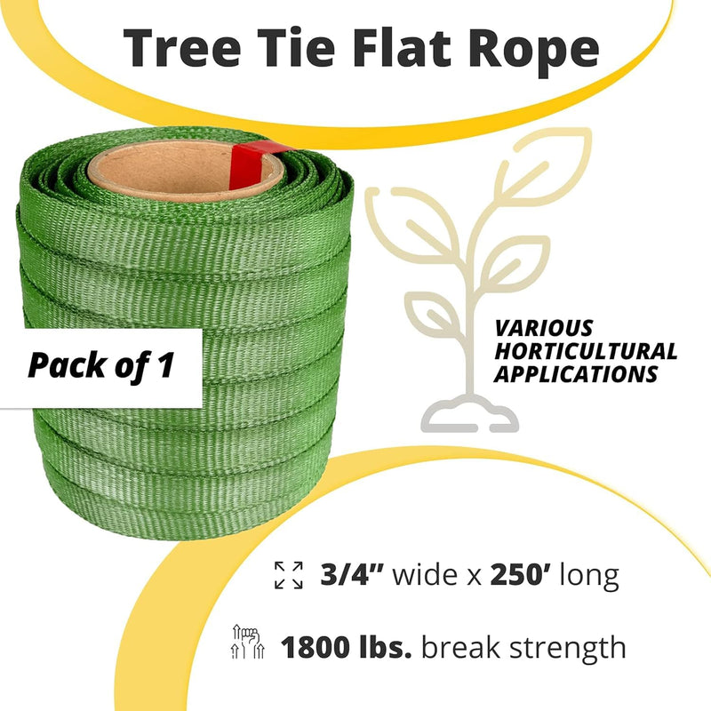 Green Tree Tie Webbing Strap 3/4" x 250' - Heavy Duty Tree Straps for Staking, Guying, Securing & Outdoor Use - Garden Ties Webbing Flat Rope for Heavy Plants & Trees Support by IDL Packaging Green