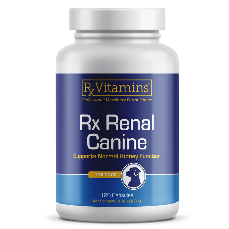Rx Vitamins Rx Renal Canine Kidney Support for Dogs - Milk Thistle Extract, Green Tea, & Cordyceps Capsules for Dogs - Dog Kidney Support Supplement - 120 ct New Label