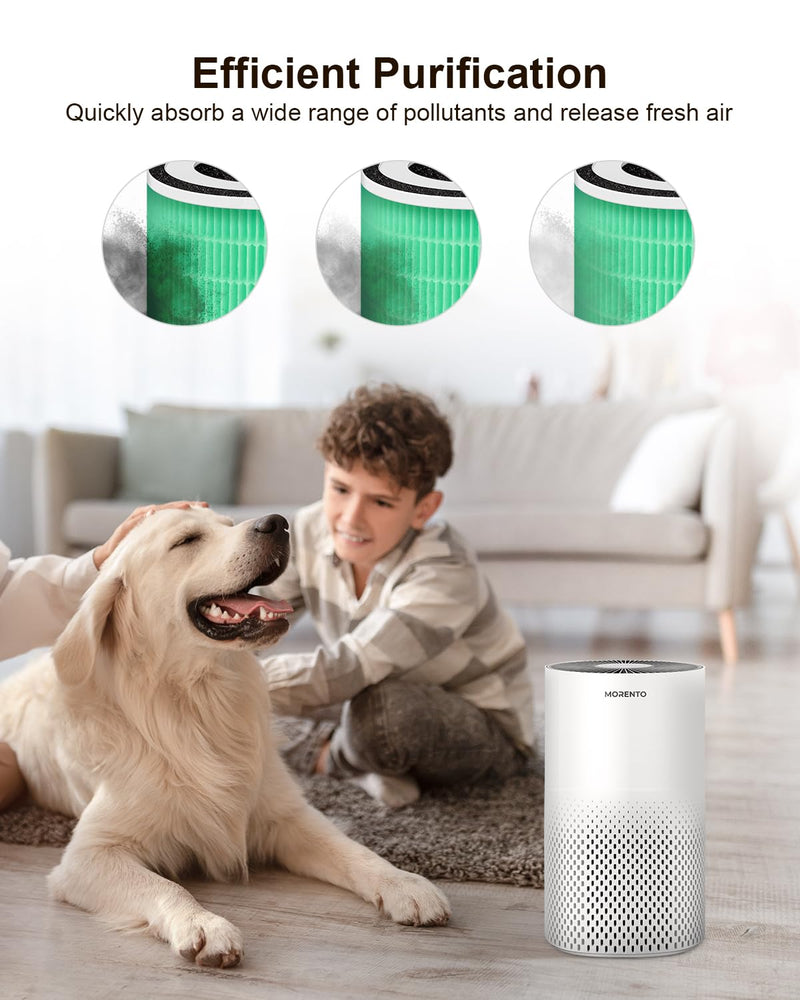 Genuine MORENTO KILO HEPA Air Purifier Replacement Filter, 1 Pack, Pet Vers Green