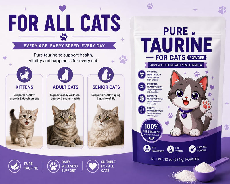 Taurine for Cats - Taurine Powder Supplement Boost, Energy & Vitality, Skin & Coat Health for Heart, Vision & Daily Wellness (10 OZ - 285 Grams) 10 OZ - 285 Grams