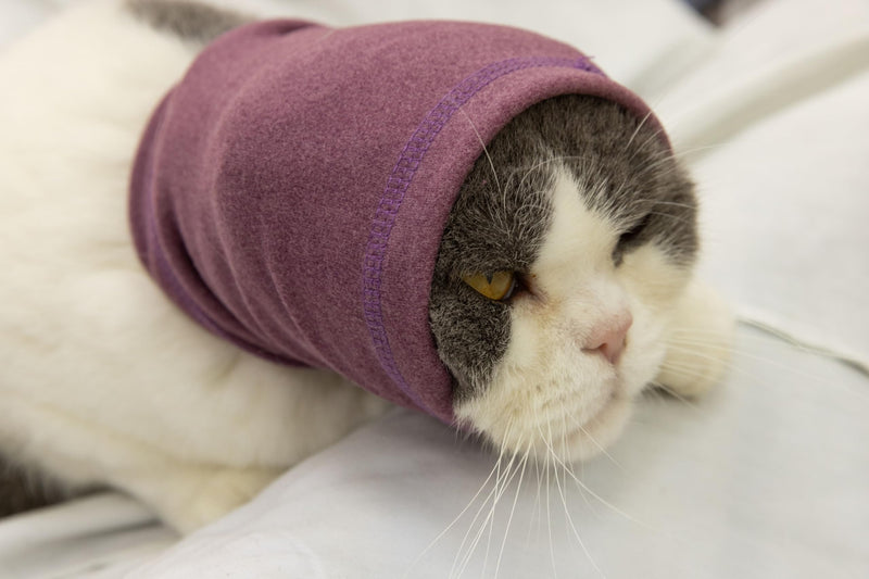 Cat Hematoma Ear Wrap, Cat Snood Anxiety Relief, Bath Accessories for Pet Grooming & Force Drying (Pail Lilac S) lilac purple Small