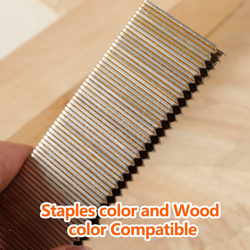 1000-Count 1/2 Inch Length, 18 Gauge 1/4 Inch Narrow Crown Staples, Heavy Duty Beveled Chiseled Pointed Galvanized Staples, for Pneumatic, Electric 18GA Stapler Gun 1/2"