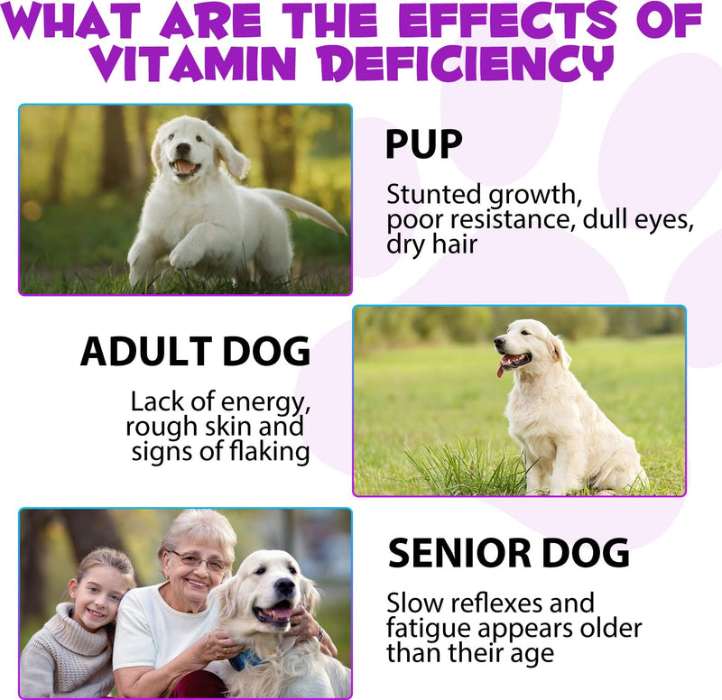 Dog Multivitamin, 15 in 1 Dog Multivitamin Liquid Drops Supplements, Dog Vitamins for Support Skin & Coat, Heart Health, Bones, Joint, Immune System Support, 60ml