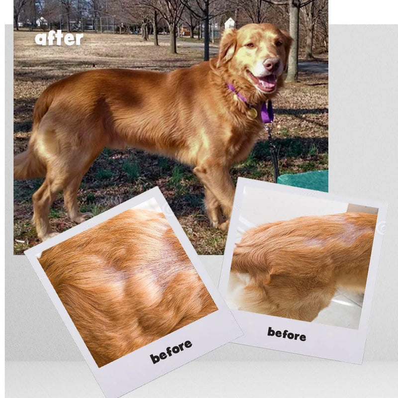 Omega-Caps High Potency Snip Tips for Medium to Large Breeds-Vet Formulated for Healthy Radiant Skin & Coat. Contains Omega 3 for Joint & Immune System Support, Easy to Dose Soft Gel Capsules 250 CT. Medium & Large Dogs 250 Capsules - PawsPlanet Australia