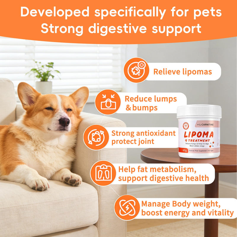 Lipoma Treatment for Dogs, L-Carnitine Reduces Fatty Lumps and Bumps, Vet-Formulated Natural Pet Supplement Boost Energy & Vitality, Immune and Blood Support, Promotes Overall Wellness, 60g