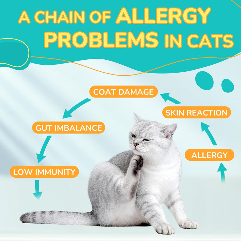 Cat Itch Relief Chews, Allergy Support for Cats, Anti Itch Skin Care Supplement, Quercetin Turmeric Immune Support, Chicken Flavor Crunchy Chews with Center, 500 Ct