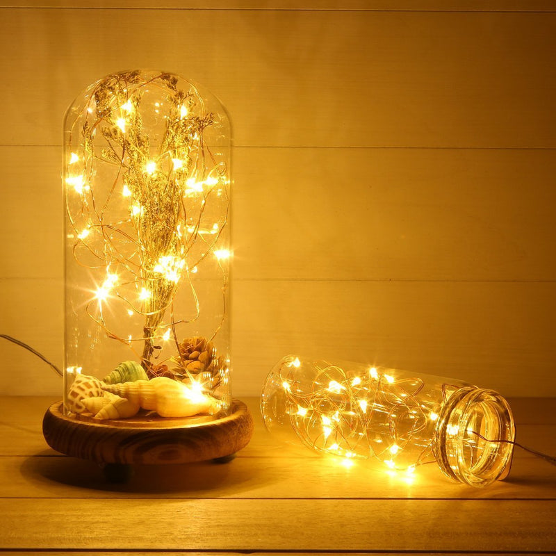 ANJAYLIA LED Fairy String Lights, 10Ft/3M 30leds Firefly String Lights Garden Home Party Wedding Festival Decorations Crafting Battery Operated Lights, Warm White Warm White 1 Pack 30 LED