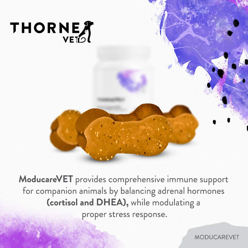 ThorneVet ModucareVET – Immune System Support from Plant Sterols for Dogs, Cats & Horses, 90 Soft Chews - PawsPlanet Australia
