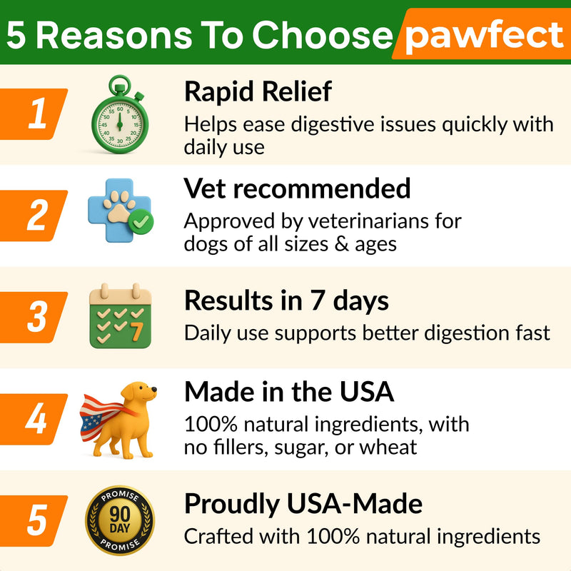 PAWFECTCHEW Pumpkin Powder for Dogs - High Fiber for Dogs Stool Softener - Treat Diarrhea, Constipation, Upset Stomach, Food Sensitivity - Made in USA - 7.4 oz Pumpkin Powder