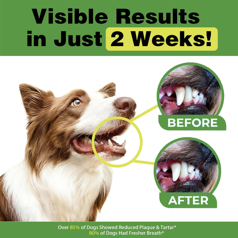 Dog Teeth Cleaning Powder, Dental Powder for Dogs Teeth Cleaning and Breath Fresh, Dog Tartar and Plaque Remover for Dental Care with Enzyme, Probiotics - Targets Tartar & Bad Breath - 150g 5.29 Ounce (Pack of 1)