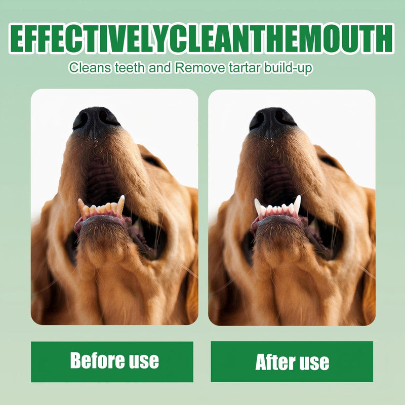 JoanofArc Dog Dental Care Spray - Oral Care Spray for Dogs - Teeth Cleaning Spray - Freshen Breath for Pet Cats and Dogs, Reduce Plaque & Tartar, Support Clean Teeth, No Brushing, 30ml/1.01 Fl Oz
