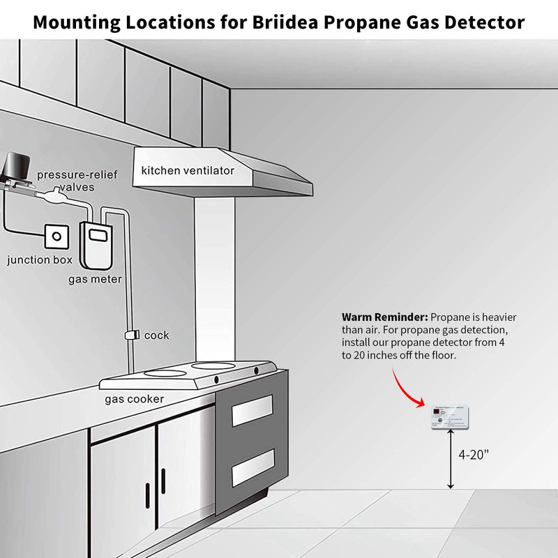 RV Propane Alarm, Briidea RV Propane Gas Detector with 85dB Loud Alarm, 12 VDC, White