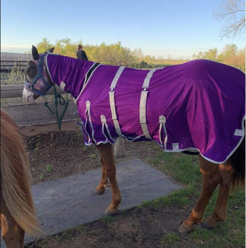 Heavy Duty Horse Fly Sheet with Neck and Detachable Belly Band | Summer Sheet (76, Purple) 76